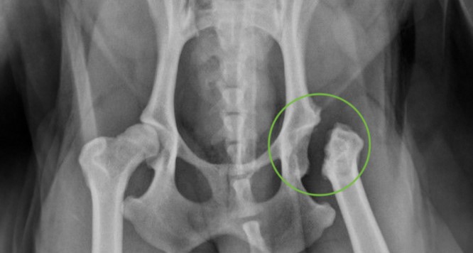 Фото 2 Фото 2