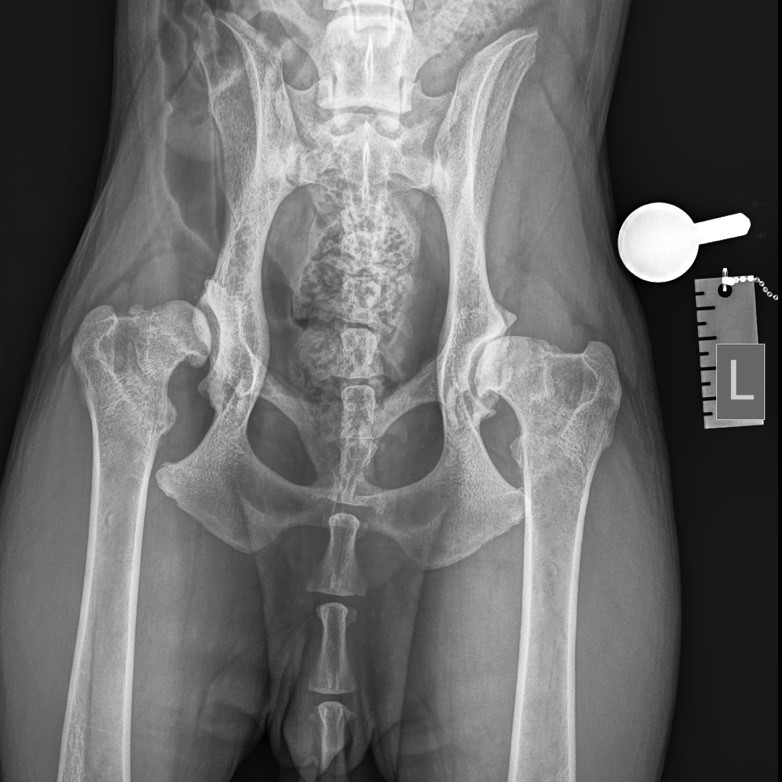 Фото 1 Фото 1