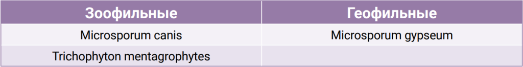 Таблица 1 Таблица 1