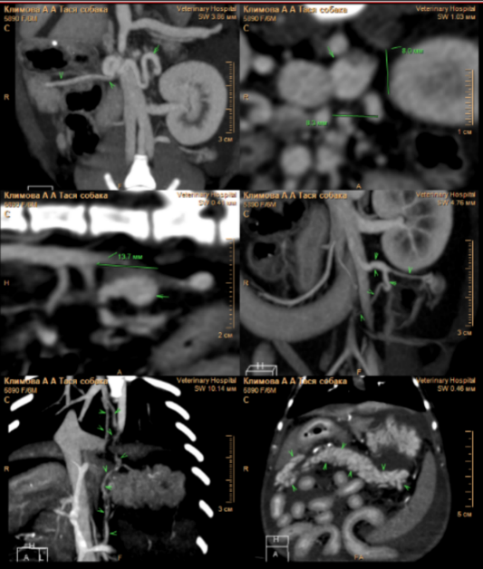 Фото 2.1 Фото 2.1