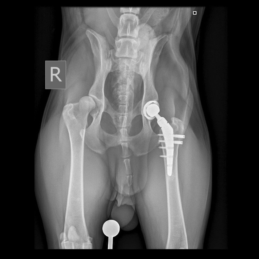 Фото 5 Фото 5