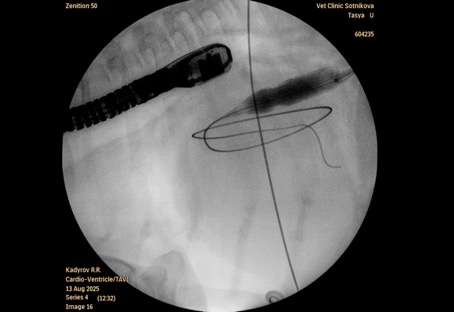Рисунок 3 Рисунок 3