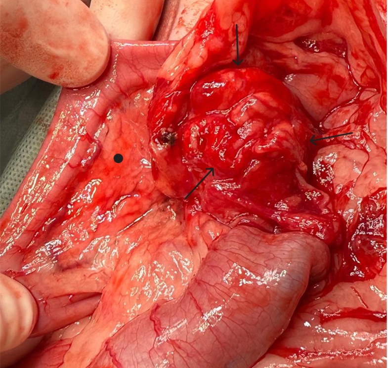 Фото 1 Фото 1