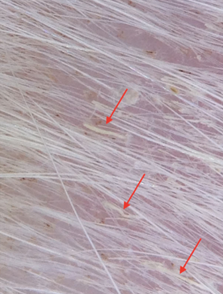 Рис. 10 Рис. 10