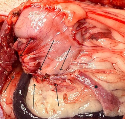 Фото 2 Фото 2