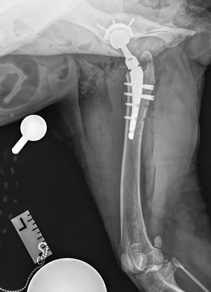 Фото 4.jpg Фото 4.jpg